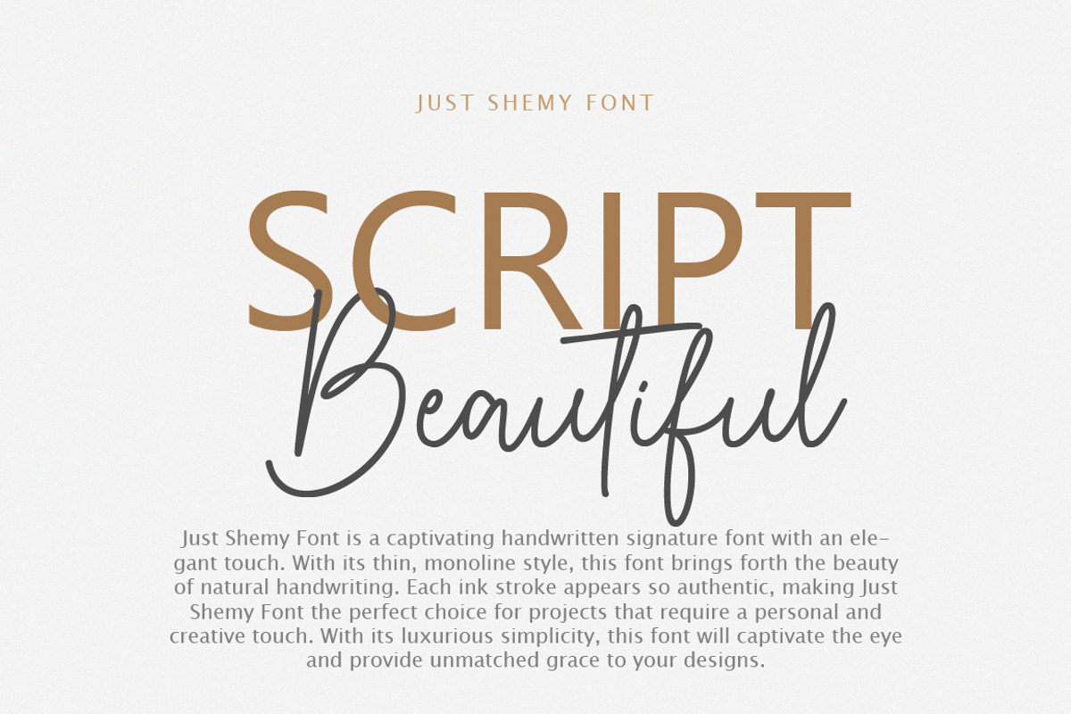 Just Shemy Signature Script Font, a Script Font by Typebae (Photo 2 of 7)