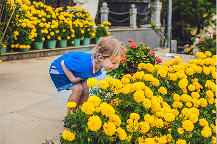 Little child is sniffing yellow, a Nature Photo by Elizaveta Galitskaya