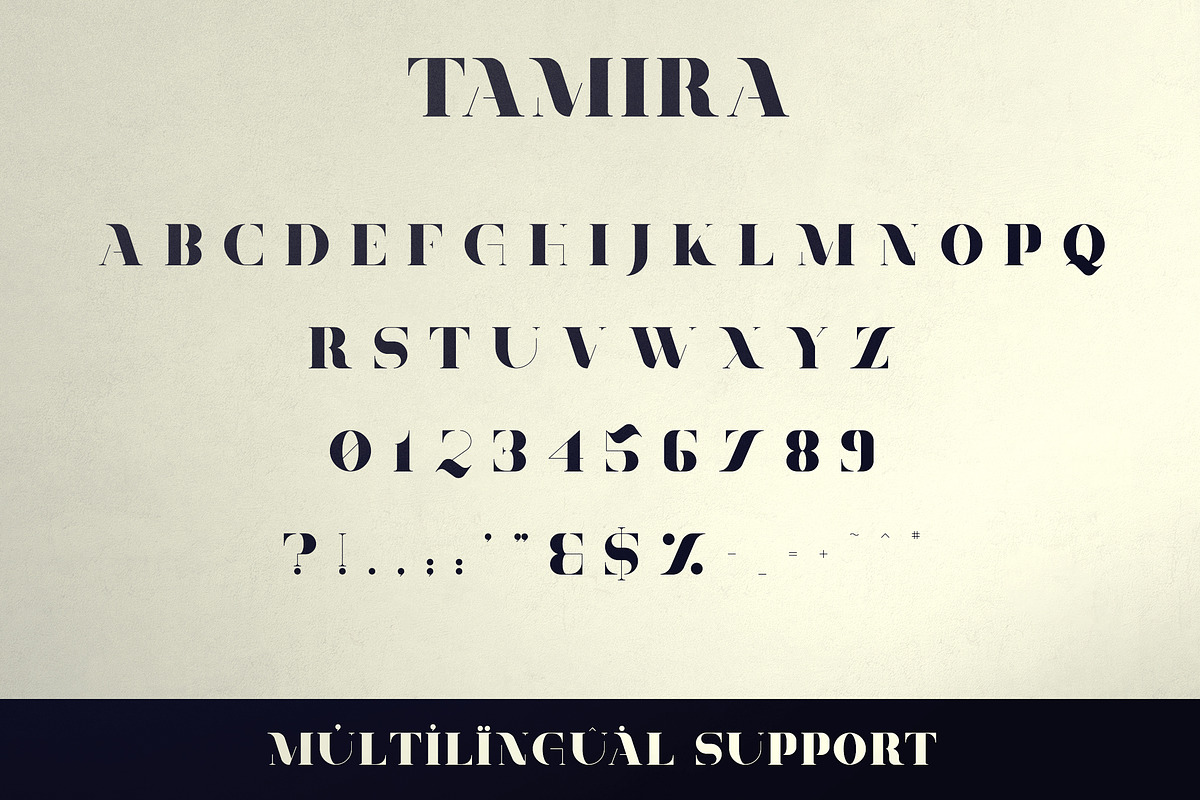 Belinda Tamira - Font duo + 20 Logos, a Serif Font by VP Fonts (Photo 9 of 12)