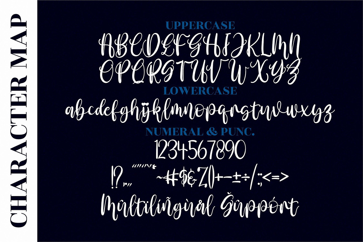 Amalia Nurse Script LS, a Script Font by GranzCreative (Photo 2 of 15)
