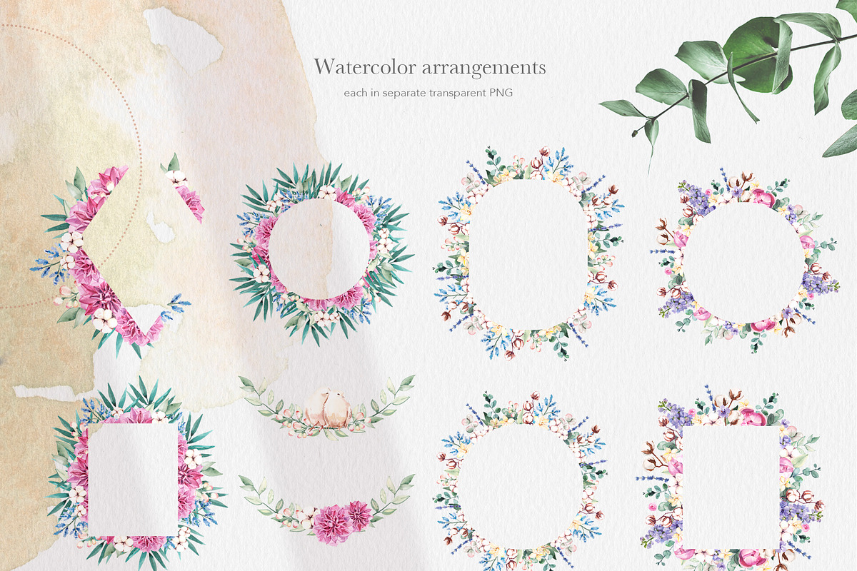 Cotton Botany Watercolor Collection, a Decorative Illustration by Volha Studio (Photo 5 of 9)