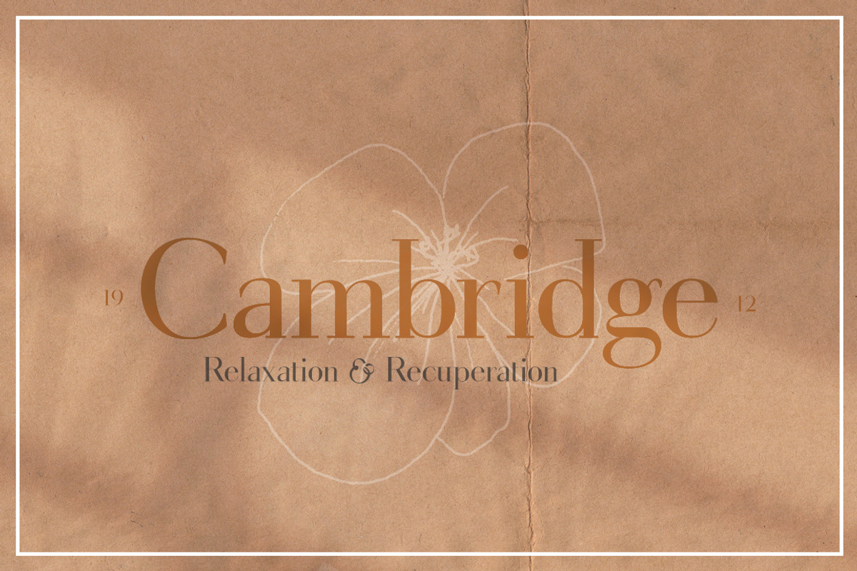 Gorgeous Serif Font preview 3