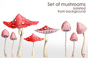 Mushroom valley, an Illustration by Dashamoony (Thumbnail 6 of 7)