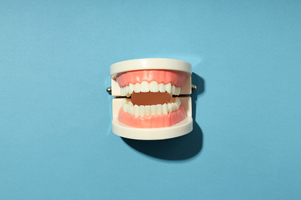 Concept of tooth care, jaws on blue background, a Health & Medical Photo by AtlasStudio PRO