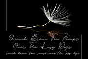 Alexandria Rose, a Script Font by Beautypes (Thumbnail 5 of 7)