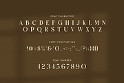 Boxer Elegant Display Serif Font, a Serif Font by Graphicxell (Thumbnail 7 of 8)