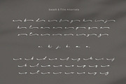 Leicesha – Elegant & Classy Script, a Handwritten Font by BrandSemut (Thumbnail 11 of 11)