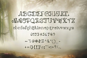 Apple Willow Font - cute wispy font, a Handwritten Font by Cuddle Bunnie Studio (Thumbnail 2 of 4)