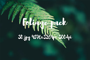 Foliage pack, a Templates & Theme by ApertureVintage (Thumbnail 2 of 21)