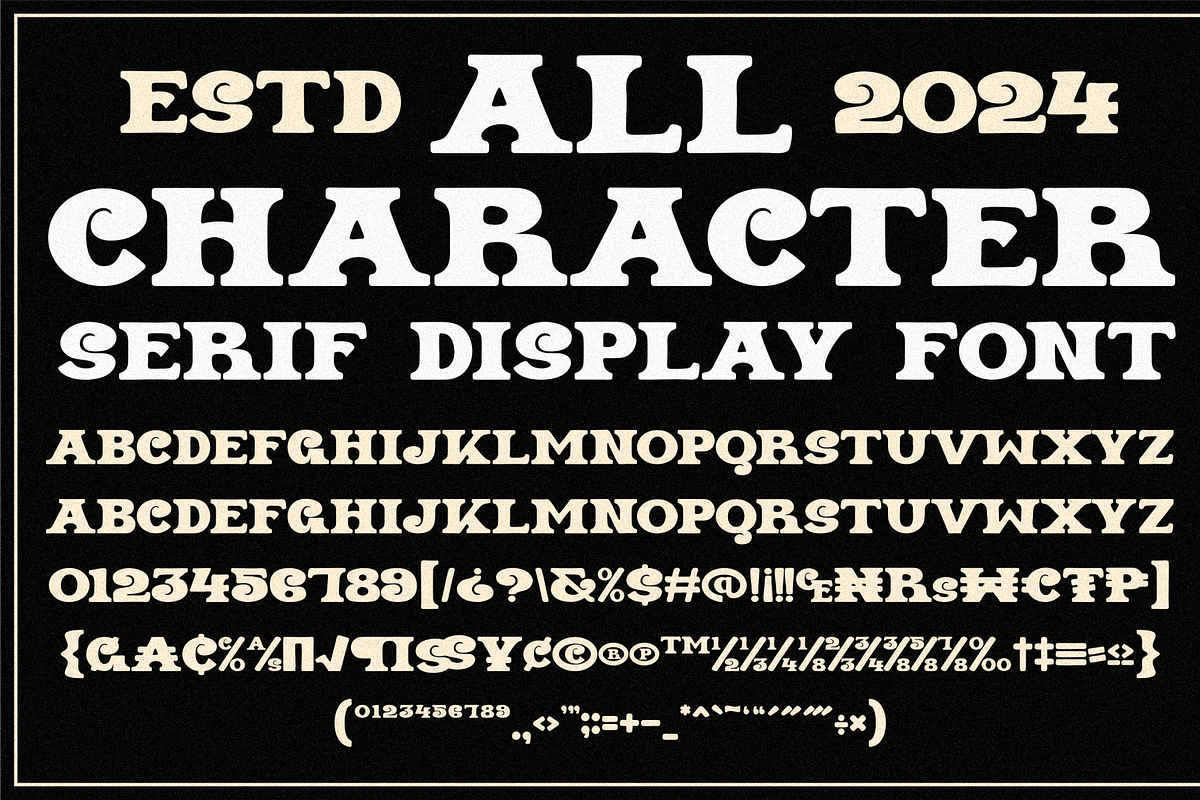 Berine - Serif Display Font, a Serif Font by MaikoHatta (Photo 7 of 7)