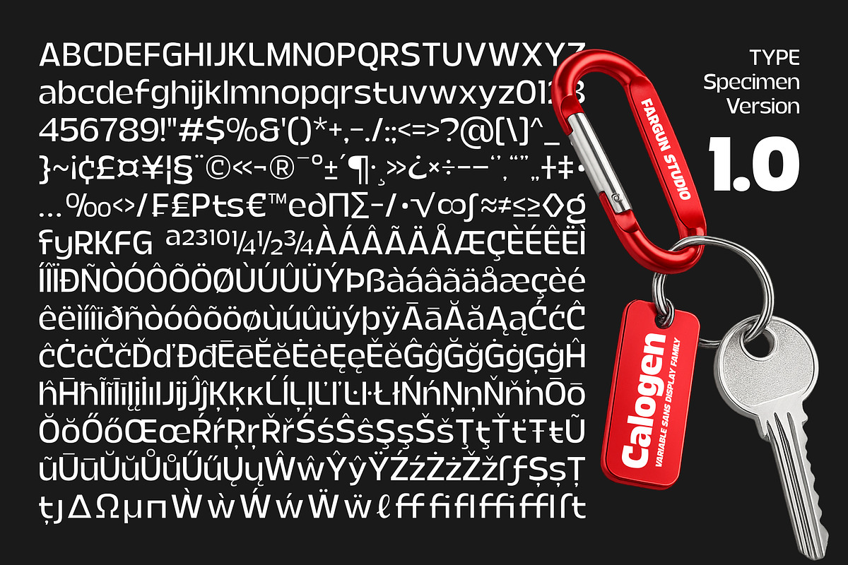 Calogen, a Sans Serif Font by Fargun Studio (Photo 15 of 15)