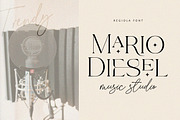 Regiola Font Duo, a Serif Font by Lucky Type (Thumbnail 5 of 14)