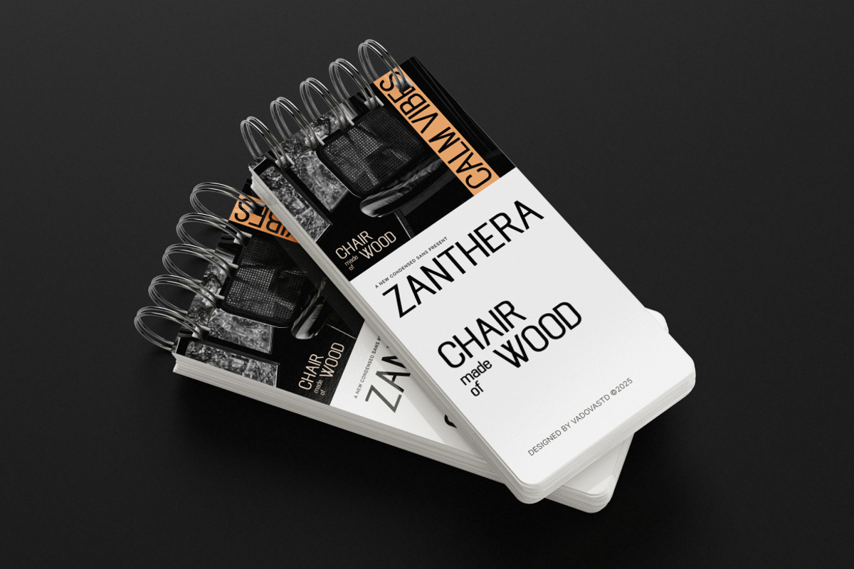 Zanthera – Condensed Sans Serif Font, a Sans Serif Font by Vadovastd (Photo 5 of 7)