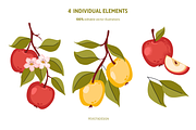 Sweet apples vector collection, a Food Illustration by Peviotadesign (Thumbnail 4 of 11)
