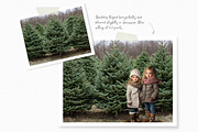 Christmas Farm Backdrops, a Holiday Photo by rileyBgraphics (Thumbnail 4 of 6)