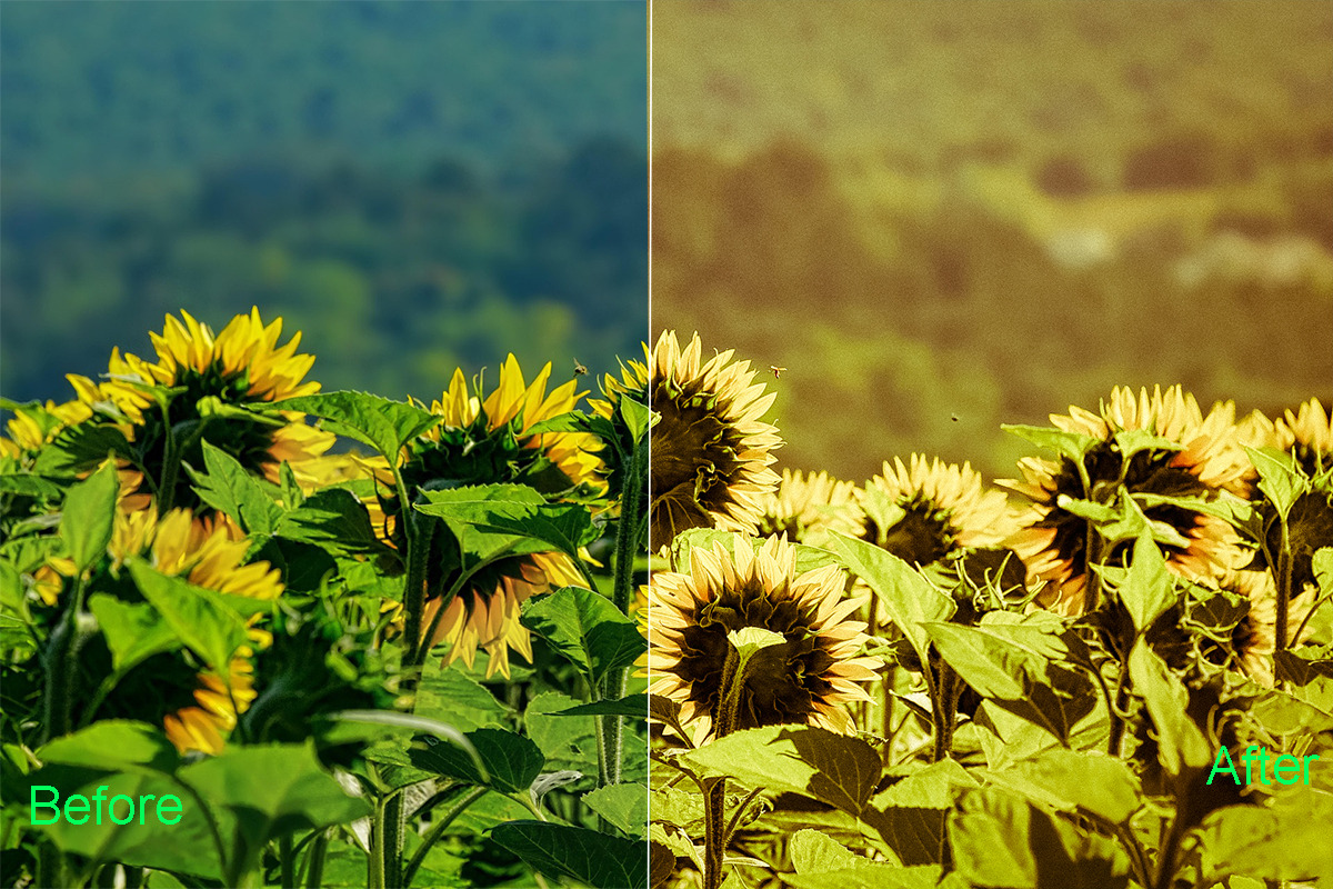 Summer Photoshop Actions 290 Bundle, an Action Add-On by ARTNEST (Photo 6 of 12)