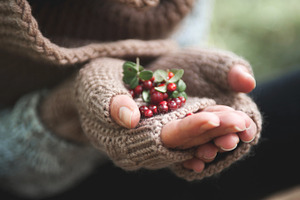 Hand in mittens holds cowberries berries featuring adult, autumn, and