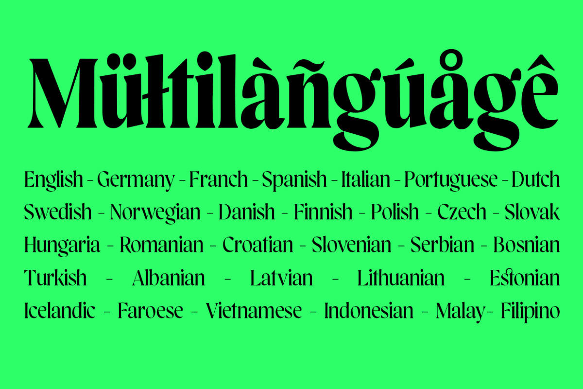 Blacklady Font Family, a Serif Font by Mulkan Nazir (Photo 3 of 15)