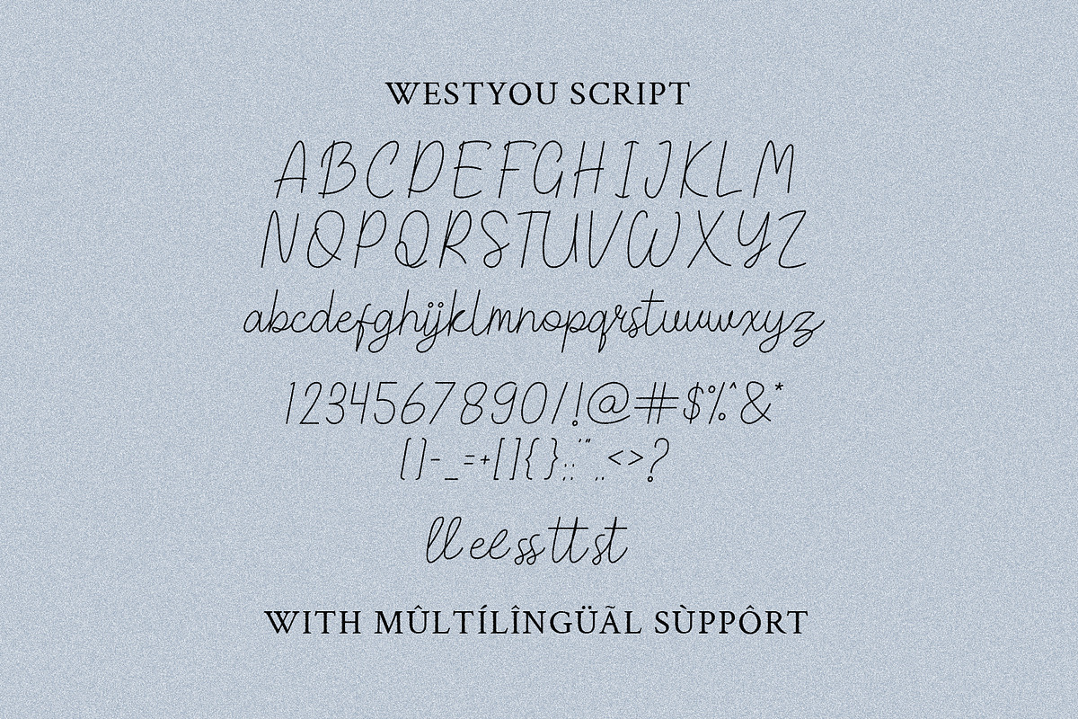 Westyou - Script Monoline, a Font by Hasbi Creative (Photo 10 of 11)