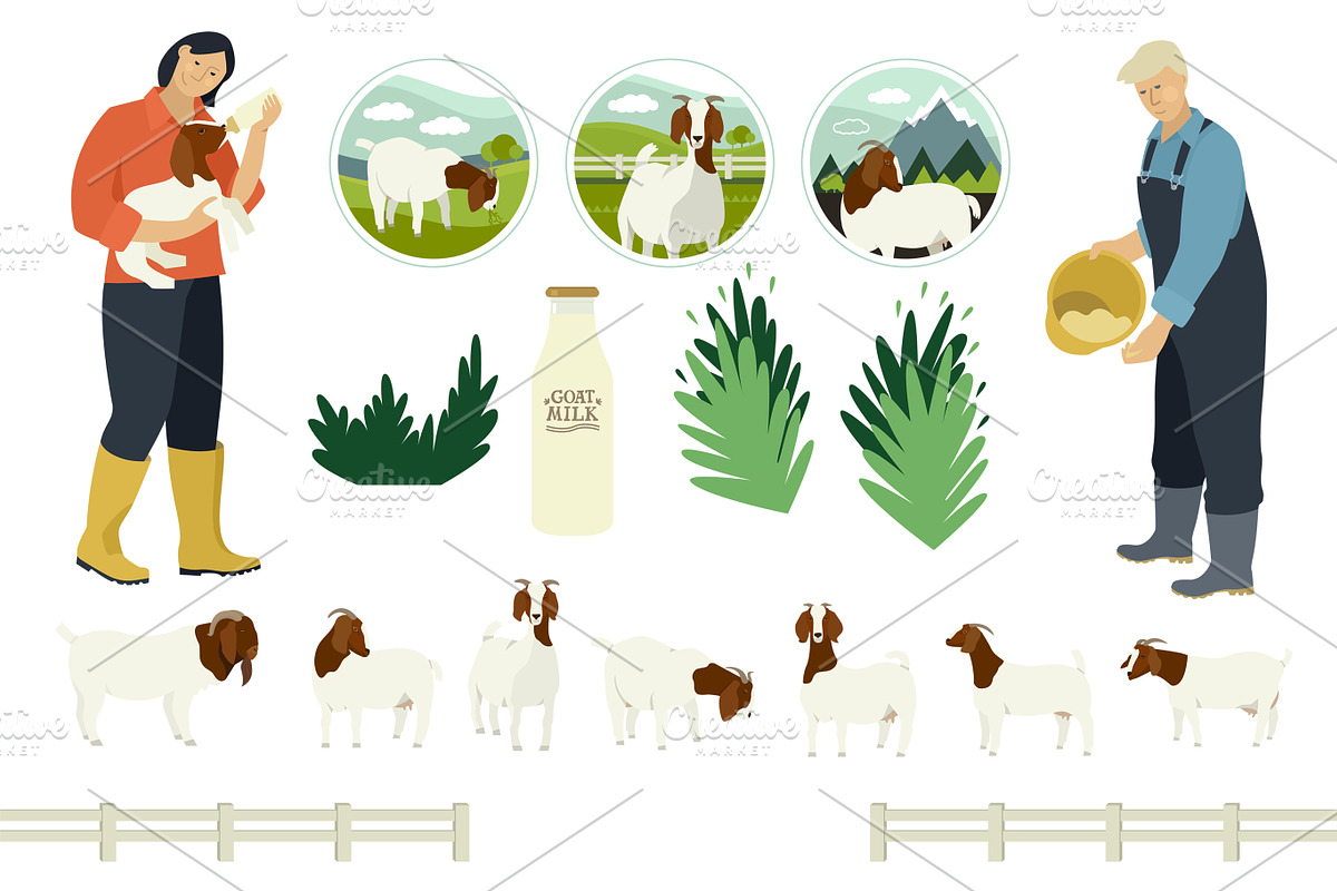 The boer goats, an Animal Illustration by Nenilkime (Photo 4 of 4)