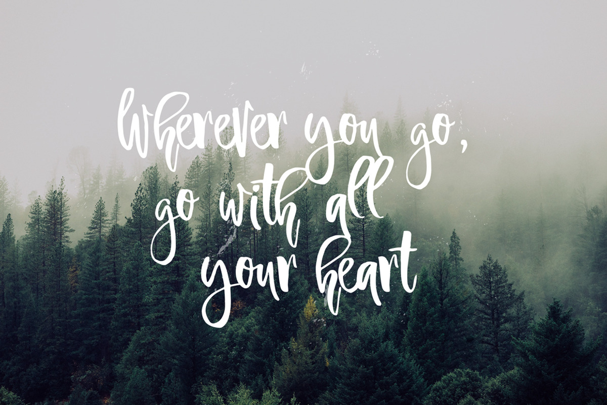 Ambrosia Script preview 6