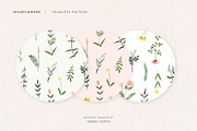 Watercolor Wildflower Bundle, an Illustration by Studio Edyth (Thumbnail 4 of 5)