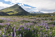 Icelandic Road Trip Bundle, a Nature Photo by HG Photography (Thumbnail 5 of 11)