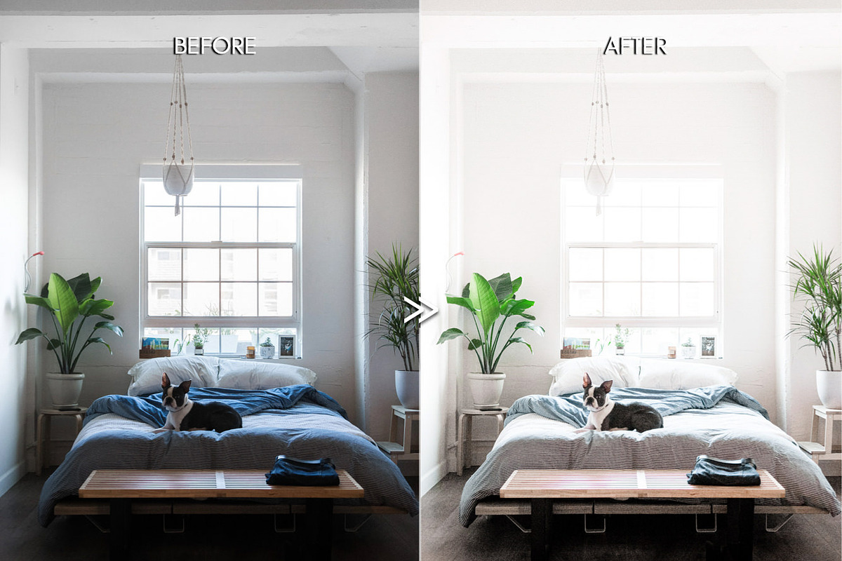 LIGHT AIRY BUNDLE Lightroom Presets, an Action Add-On by CityTurtles (Photo 6 of 14)