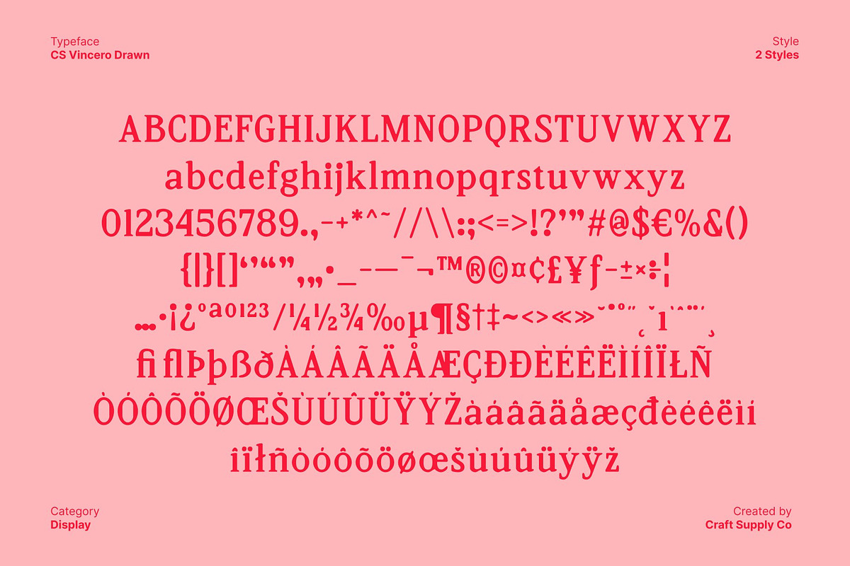 CS Vincero Drawn, a Serif Font by Craft Supply Co. (Photo 8 of 8)