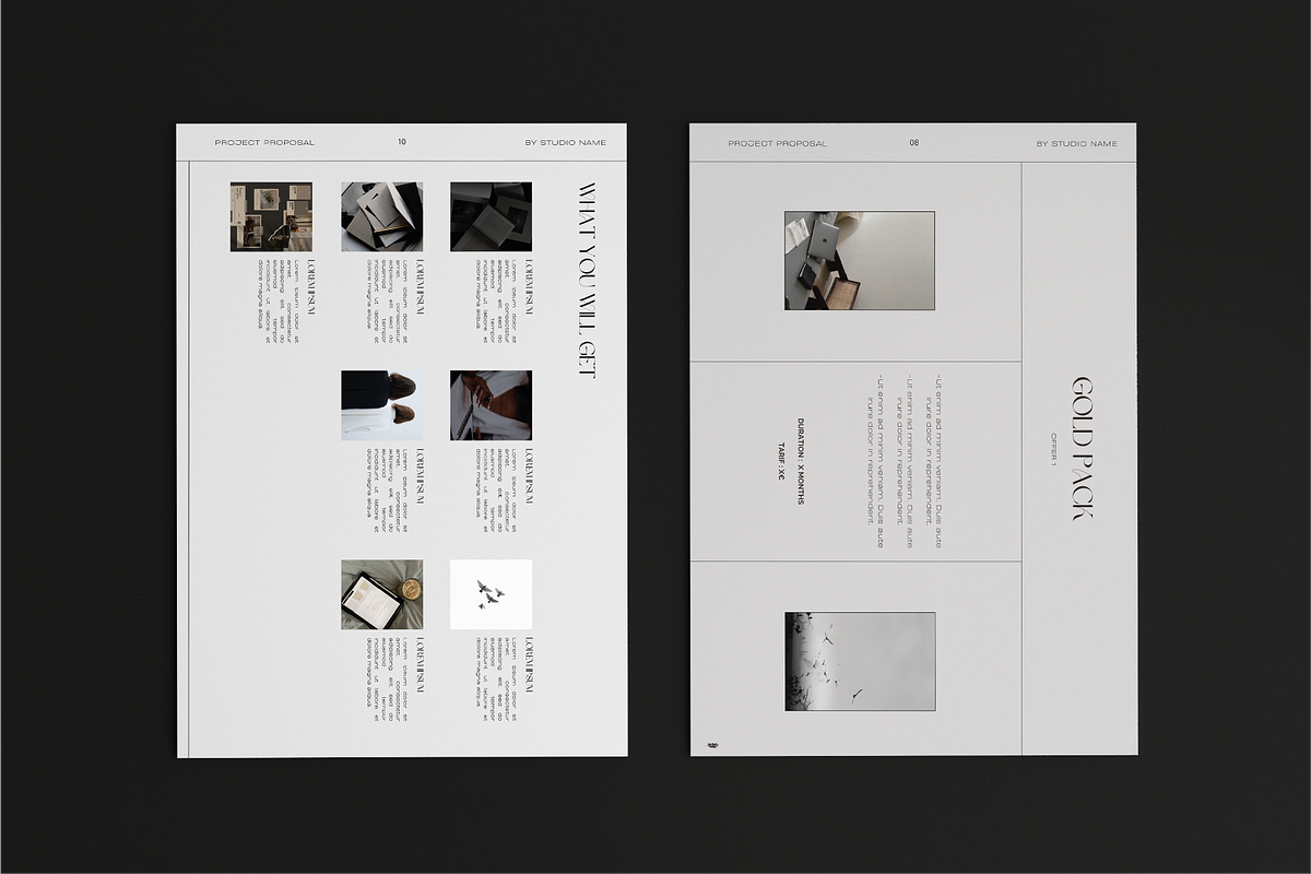Volo - Project Proposal for Canva, a Presentation Template by EnvolAgency (Photo 4 of 5)
