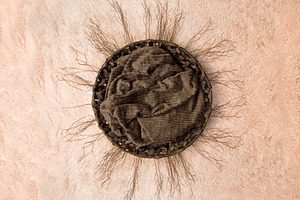 Newborn backdrop twig circle containing newborn, baby, and child