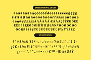 Volkgen Bold Modern Display Serif, a Serif Font by timelesstype.co (Thumbnail 14 of 15)
