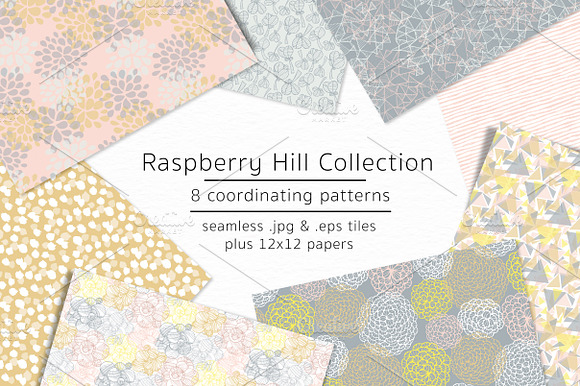 Raspberry Hill-vector & jpgs preview 3