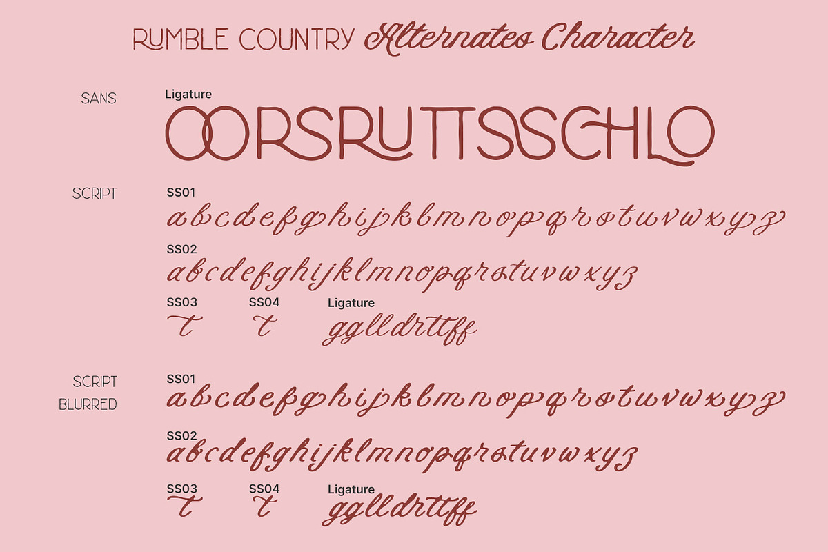 Rumble Country, a Sans Serif Font by Nathatype (Photo 10 of 11)