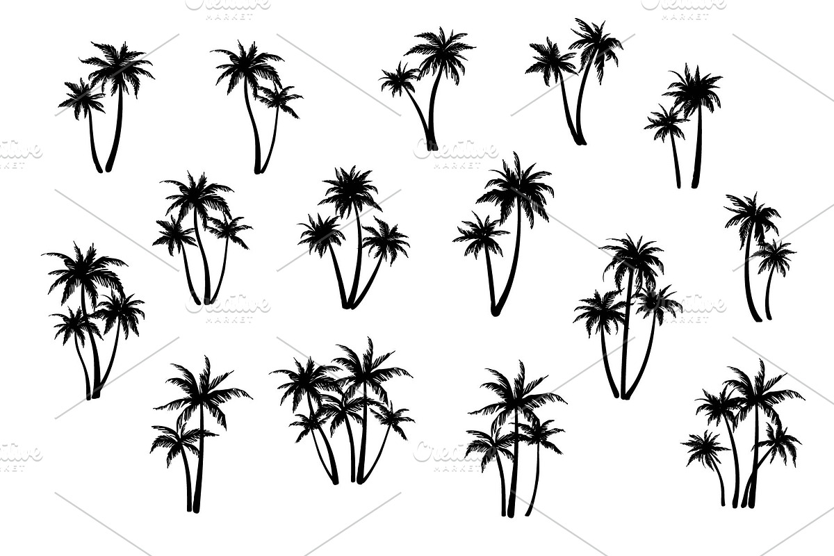 Large set of palm trees. 52 designs., a Decorative Illustration by VetaDesign (Photo 2 of 4)