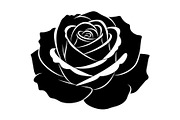 50 Black Rose Silhouette Vector Bund, an Illustration by Gaye Art (Thumbnail 27 of 51)