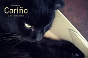 Cardboard Cat, a Sans Serif Font by Studio Dot by dot (Thumbnail 2 of 7)