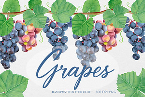 Watercolor Grapes Clipart