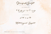 Verified Script - Rough Script Font, a Script Font by Alpaprana (Thumbnail 15 of 16)