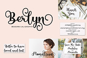 All Type Collection Font Bundle, a Script Font by Bosstype Studio (Thumbnail 11 of 45)
