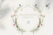 Wildflowers Watercolor Collection, a Decorative Illustration by Les Frolova (Thumbnail 4 of 12)