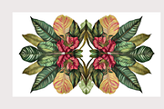 Muji Co · Symmetrical Botanics, a Decorative Illustration by milatovar (Thumbnail 16 of 16)