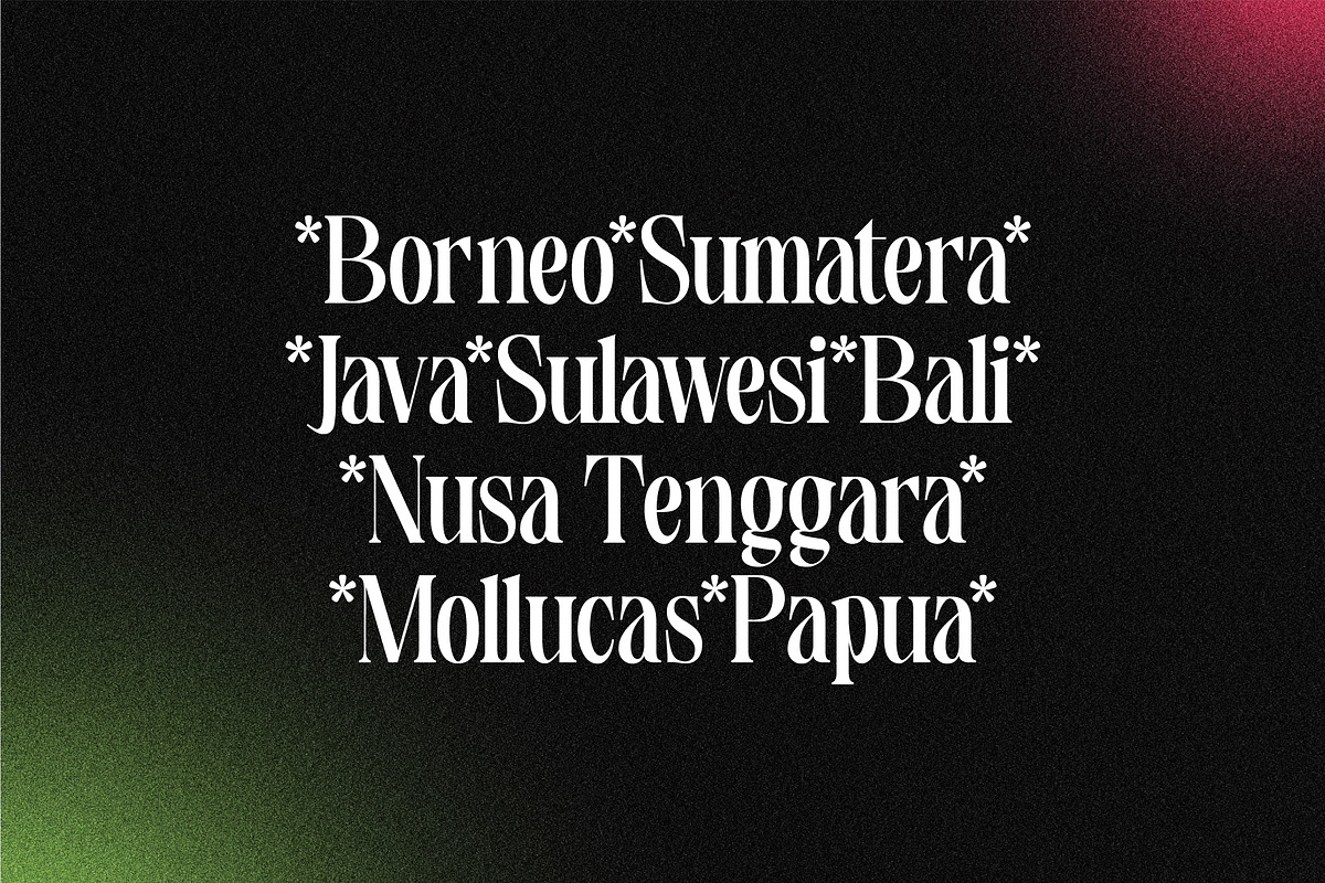 Plantround, a Serif Font by Pustudio (Photo 4 of 9)