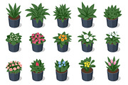 Isometric potted plant and flower, a Person Illustration by Golden Sikorka (Thumbnail 3 of 3)