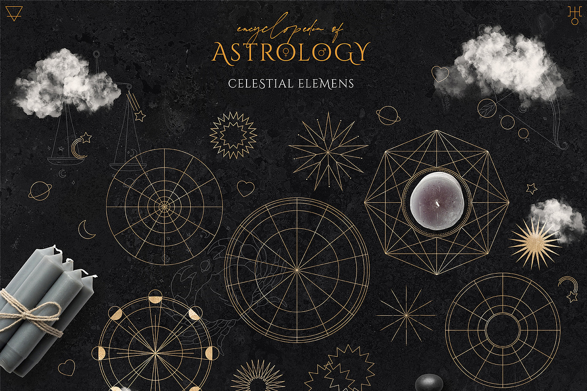 Encyclopedia of Astrology, an Animal Illustration by Julia Dreams (Photo 14 of 14)