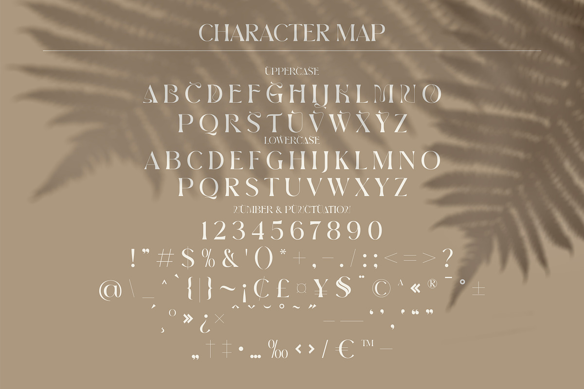 BROW VOLKY Stylish Serif Font, a Serif Font by Storytype Studio (Photo 8 of 10)