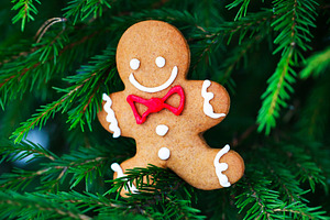 Cute Gingerbreadman Christmas cookie, a Holiday Photo by Kate S