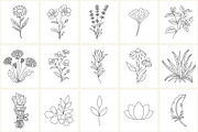 Holistic Medicine Line Icon Set, an Outline Icon by NatalieArtShop (Thumbnail 8 of 15)