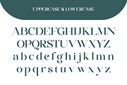 Huffleheim - Elegant Modern Serif, a Serif Font by Qweera Studio (Thumbnail 11 of 12)