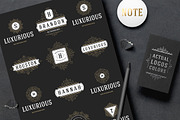 1000 Logos and Badges Bundle, a Branding & Logo Template by Vasya Kobelev (Thumbnail 33 of 39)